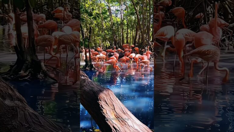 places that don’t feel in Colombia #travel #visit #travelling #travelvlog #nature #explore