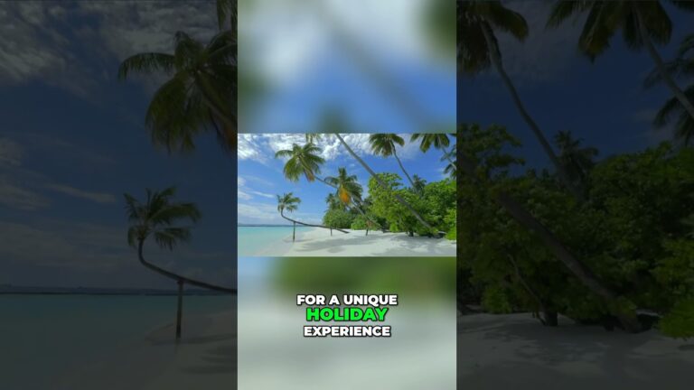 Escape to Paradise: #Maldives Vacation Experience #shorts #travel