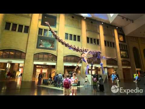 Toronto Vacation Travel Guide | Expedia