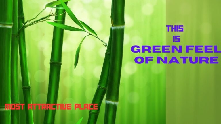 “Experience the Magic: ‘Feel of Nature’ 2024 Travel Guide”