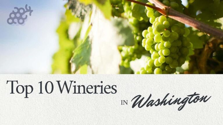 Exploring Washington’s Finest Top 10 Wineries