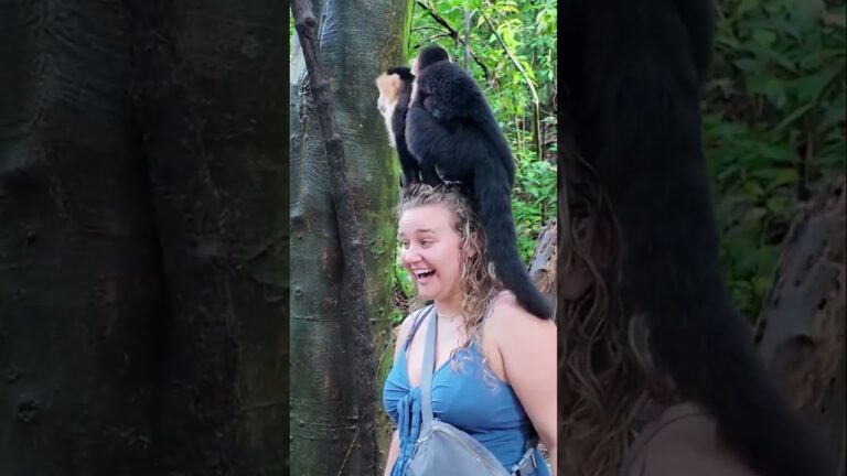 Tourists Are Getting Up Close And Personal With Mischievous Monkeys