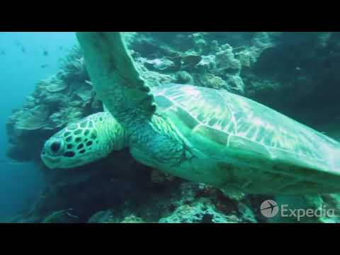 Malaysia Vacation Travel Guide   Expedia   YouTube
