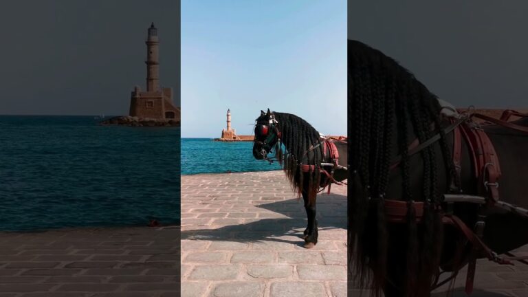 Kreta Urlaub #reisen #urlaub #reise #nature #reiseziele #kreta #griechenland #shorts