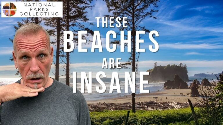 10 Best Beaches in Olympic National Park