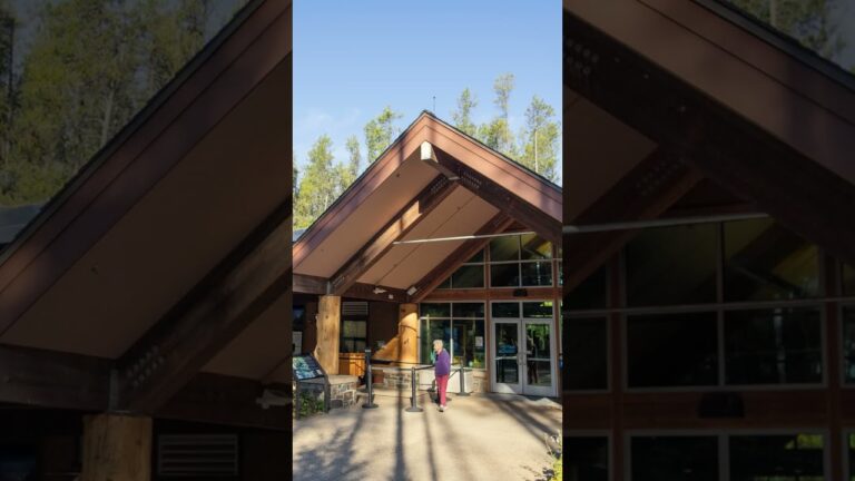Best Things To Do in Glacier National Park for Non-Hikers No. 3 #glacier #glaciernationalpark