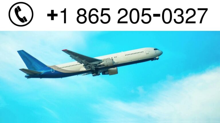 Expedia Customer Service | Direct Contact Channels for Assistance
